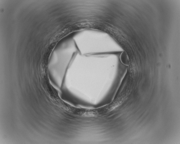 X0000078250751200611251303