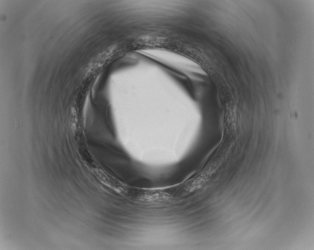 X0000078250752200611251303