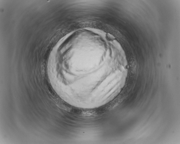 X0000078250753200611251303