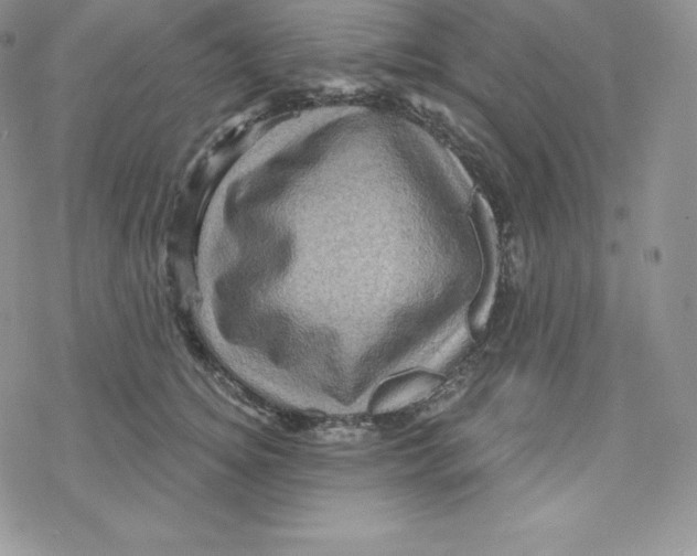 X0000078250756200611251303