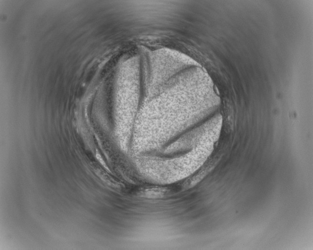 X0000078250758200611251303
