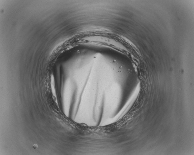 X0000078250775200611251303