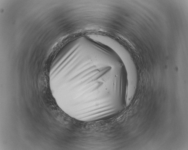 X0000078250776200611251303