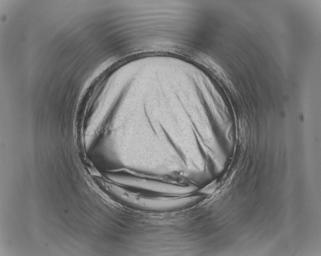 X0000078250780200611251302