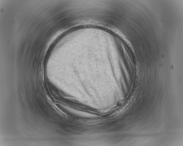 X0000078250791200611251302