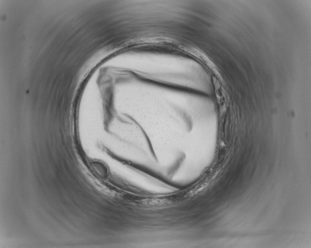 X0000078250795200611251302