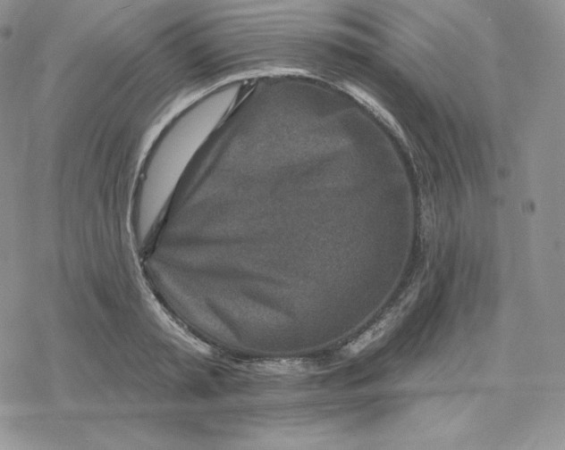 X0000078250797200611251302