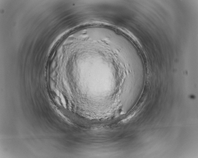 X0000078250799200611251302
