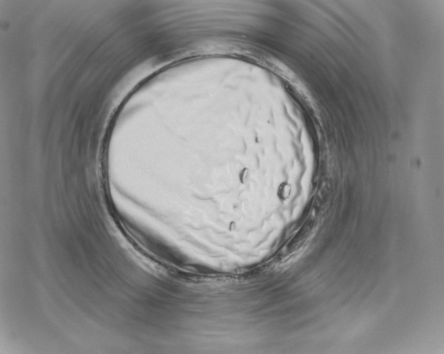 X0000078250803200611251302