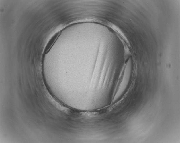 X0000078250805200611251302