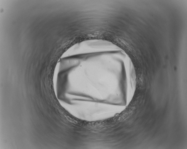 X0000078250817200611251301