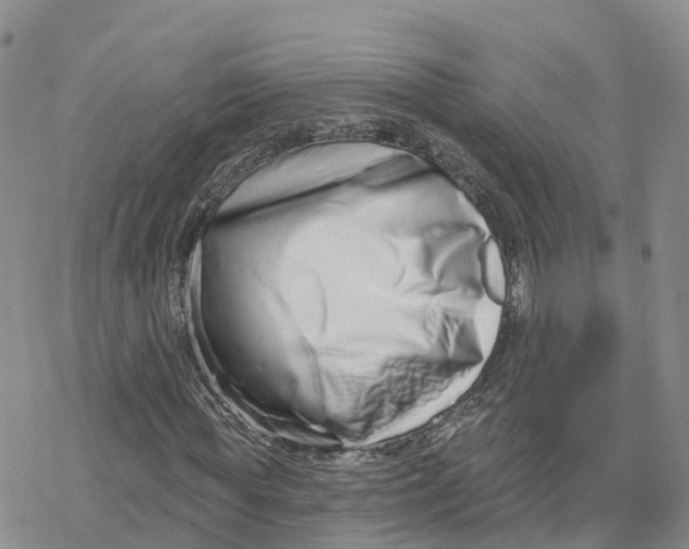 X0000078250819200611251301