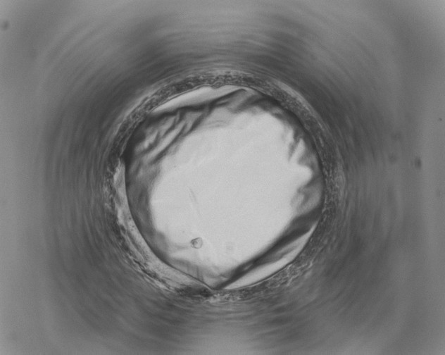 X0000078250823200611251301