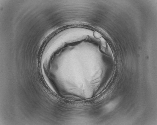 X0000078250831200611251301