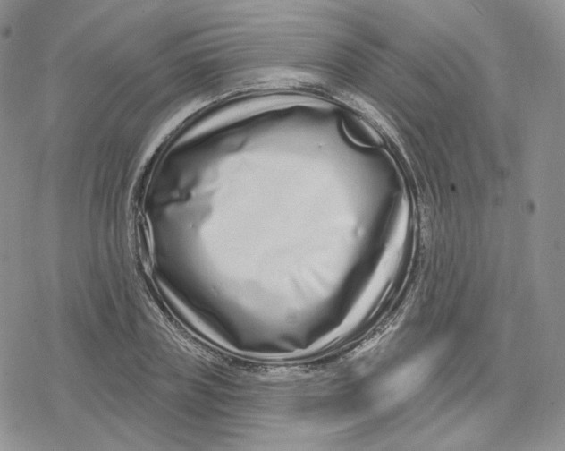 X0000078250835200611251301