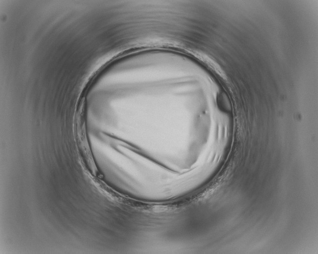 X0000078250839200611251301