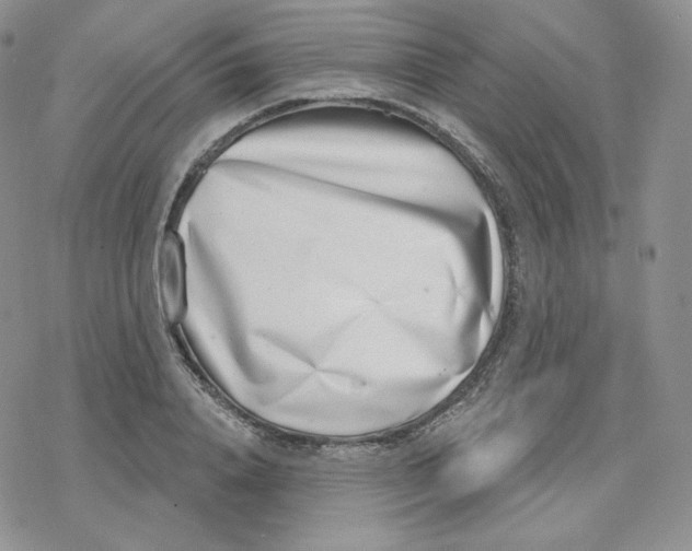 X0000078250840200611251301
