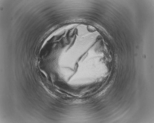 X0000078250841200611251301