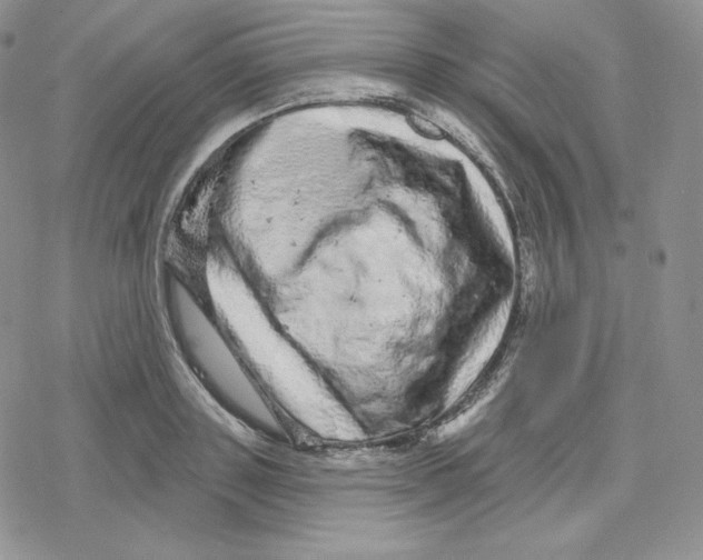X0000078250843200611251302