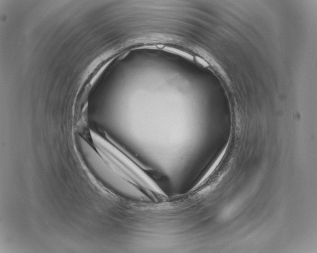 X0000078250845200611251302