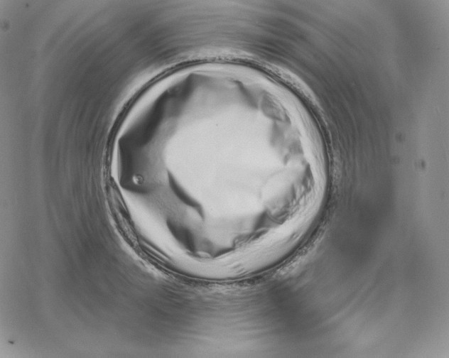 X0000078250847200611251302