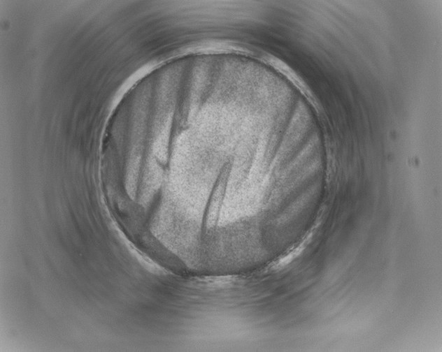 X0000078250853200611251302
