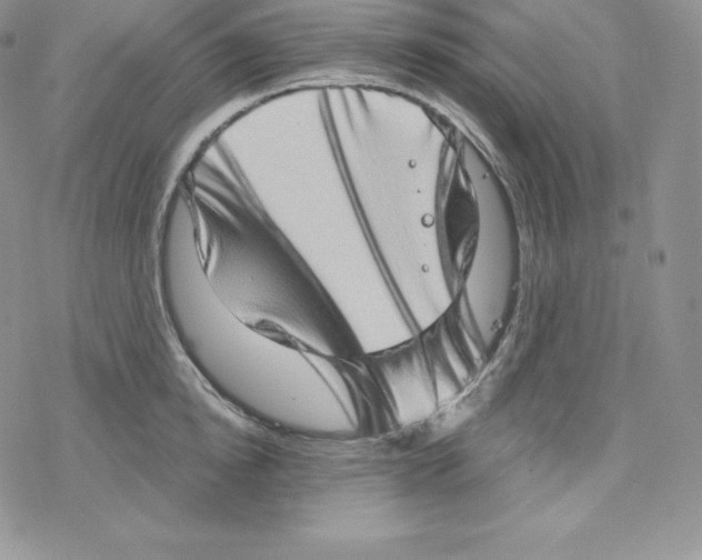 X0000078250854200611251302