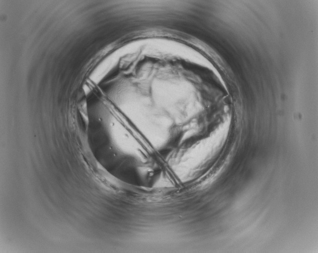 X0000078250857200611251302