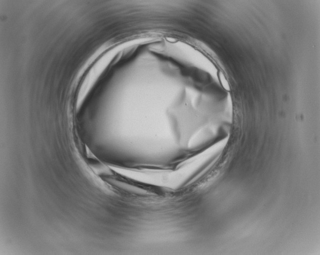 X0000078250859200611251302