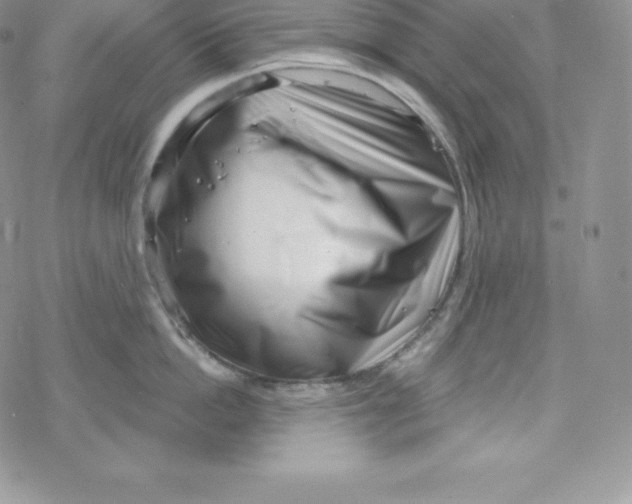 X0000078250862200611251302