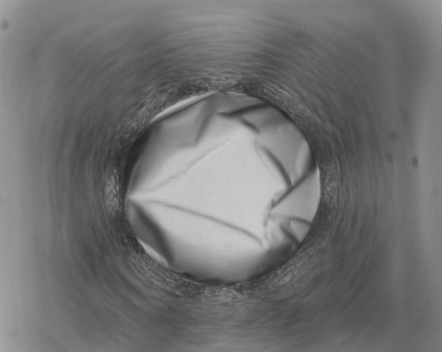 X0000078250866200611251301