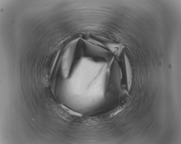 X0000078250868200611251301