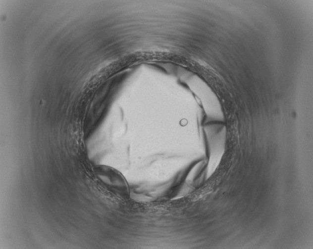X0000078250870200611251301
