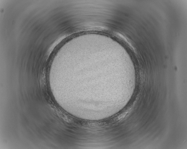 X0000078250875200611251301