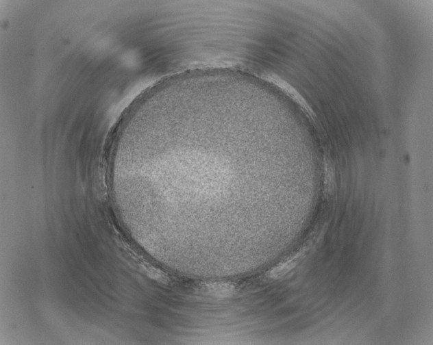 X0000078250878200611251301