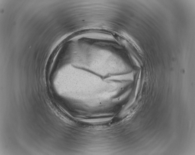 X0000078250884200611251301