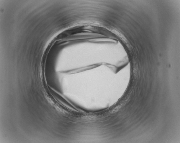 X0000078250888200611251301