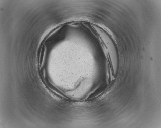 X0000078250894200611251301