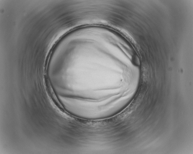 X0000078250895200611251301