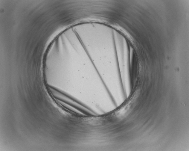 X0000078250902200611251300