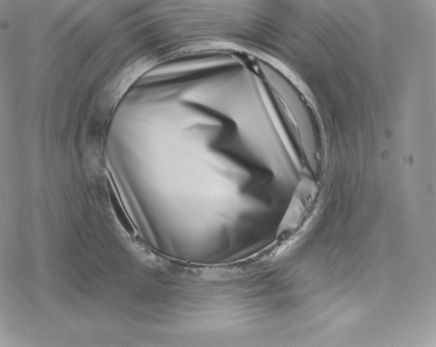 X0000078250905200611251300