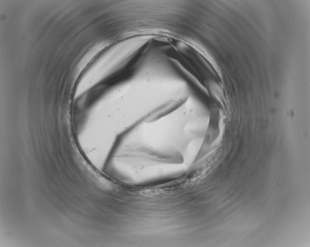 X0000078250906200611251300