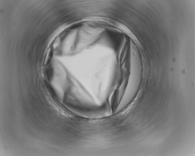 X0000078250908200611251300