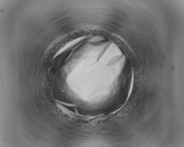X0000078250919200611251300