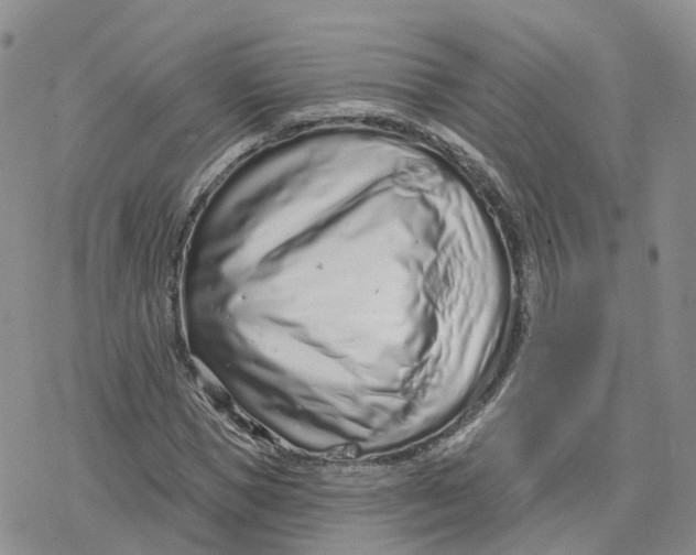 X0000078250921200611251300