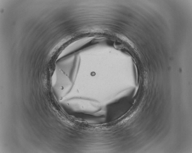 X0000078250922200611251300