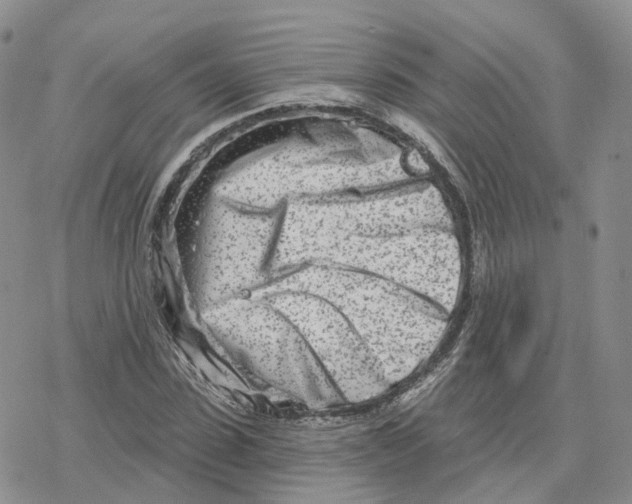 X0000078250923200611251300