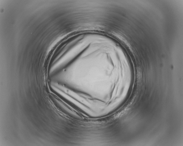 X0000078250925200611251300