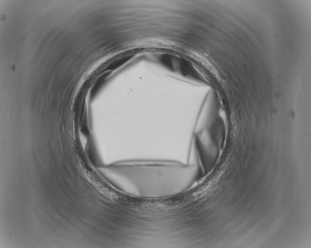 X0000078250931200611251300