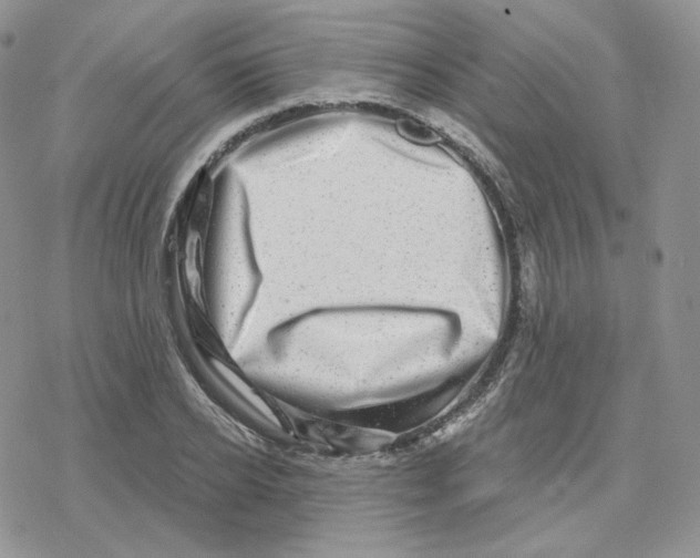 X0000078250934200611251300